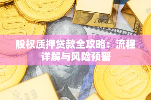 武汉股权质押贷款全攻略：流程详解与风险预警