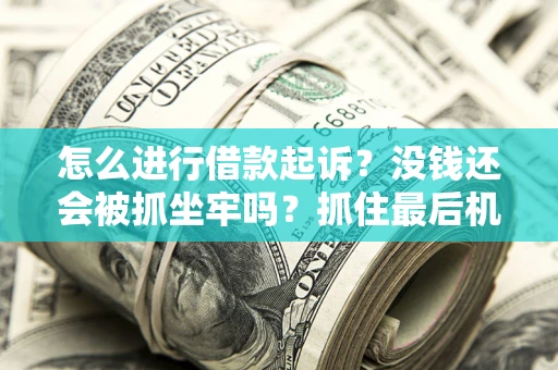 武汉怎么进行借款起诉？没钱还会被抓坐牢吗？抓住最后机会！