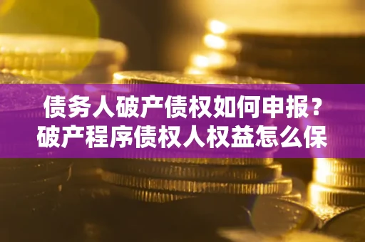 武汉债务人破产债权如何申报？破产程序债权人权益怎么保障？