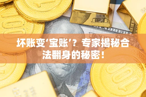 武汉坏账变‘宝账’？专家揭秘合法翻身的秘密！