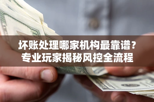 武汉坏账处理哪家机构最靠谱？专业玩家揭秘风控全流程