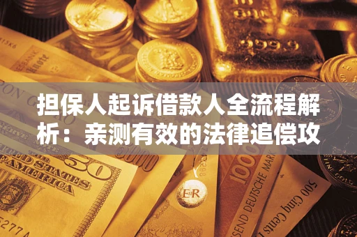 武汉担保人起诉借款人全流程解析：亲测有效的法律追偿攻略