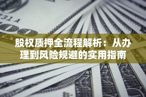 武汉股权质押全流程解析：从办理到风险规避的实用指南