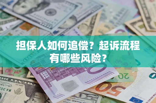武汉担保人如何追偿？起诉流程有哪些风险？