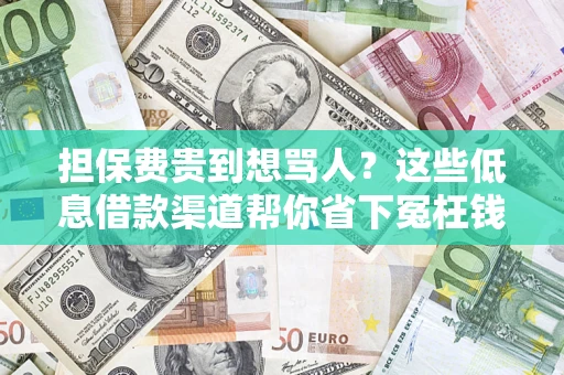 武汉担保费贵到想骂人？这些低息借款渠道帮你省下冤枉钱