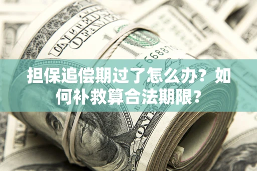 武汉担保追偿期过了怎么办？如何补救算合法期限？