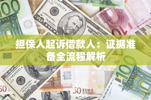 武汉担保人起诉借款人：证据准备全流程解析