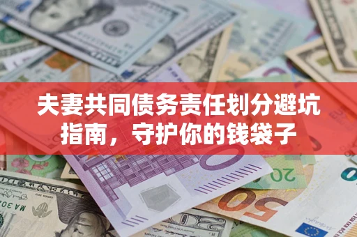 武汉夫妻共同债务责任划分避坑指南，守护你的钱袋子