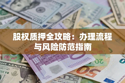 武汉股权质押全攻略：办理流程与风险防范指南