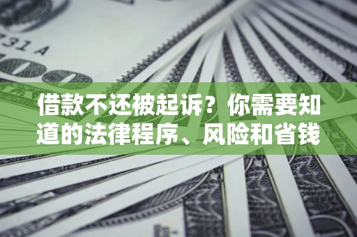 武汉借款不还被起诉？你需要知道的法律程序、风险和省钱技巧